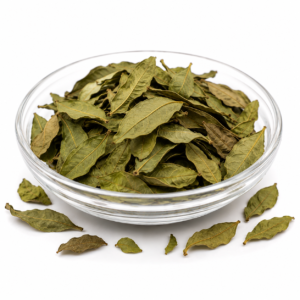 Leaves- Guava- Therapeutic